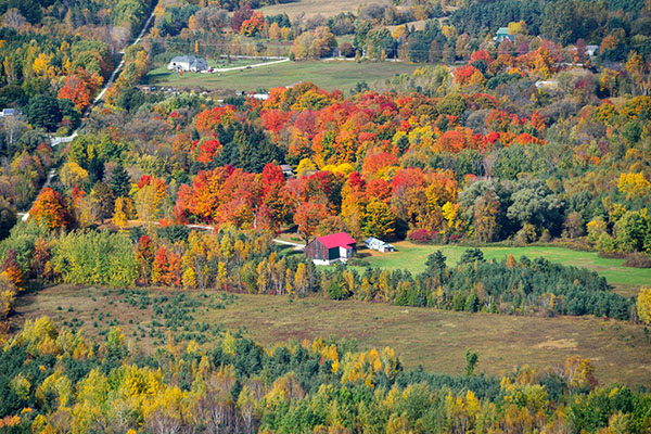 Central Ontario Fall Colour